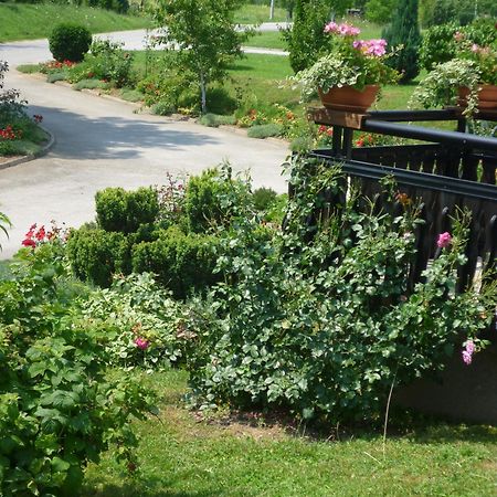Apartments Tratincica Seliste Dreznicko Εξωτερικό φωτογραφία